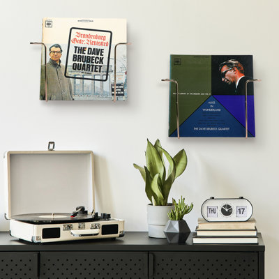 Oleva Metal Vinyl Record Storage by Mercer41