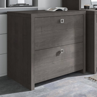 Echo 2 -Drawer File Cabinet by Bush Business Furniture