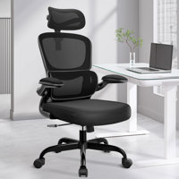 Lidwien Ergonomic Breathable Mesh Office Chair with Adjustable Headrest and Flip-Up Arms by Inbox Zero