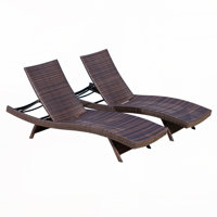 Sun Lounger Set by Hokku Designs
