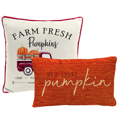 16" x 16" Outdoor Throw Pillow with Welt by Laurel Foundry Modern Farmhouse
