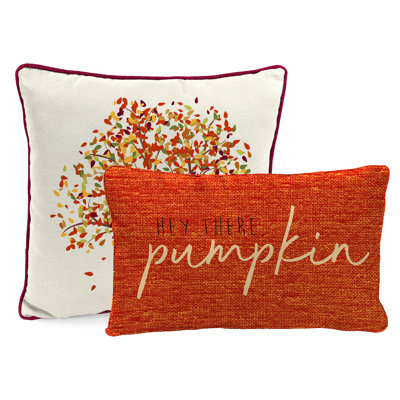16" x 16" Outdoor Throw Pillow with Welt by Laurel Foundry Modern Farmhouse