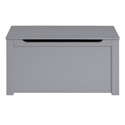 Kariss Manufactured + Solid Wood Toy Box by Hokku Designs