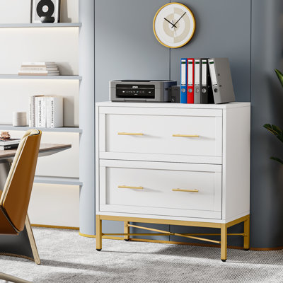 Niera 31.49 Wide 2 -Drawer File Cabinet by Mercer41