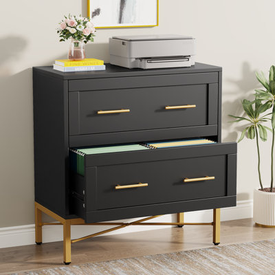 Niera 31.49 Wide 2 -Drawer File Cabinet by Mercer41