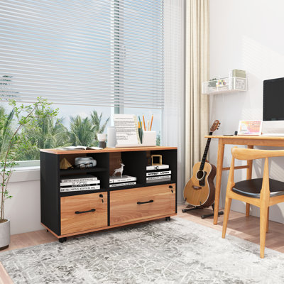 Merih 2-Drawer Mobile Lateral Filing Cabinet by 17 Stories