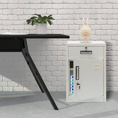 Tervel 1-Drawer Vertical Filing Cabinet with Locks by Ebern Designs