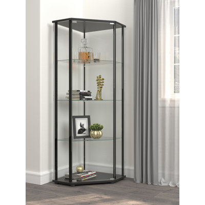 Curio Cabinet with Glass Shelf in Clear and Black by Ebern Designs