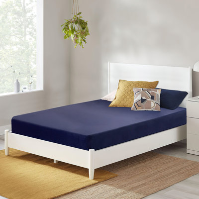 Alwyn Home Capavella 6