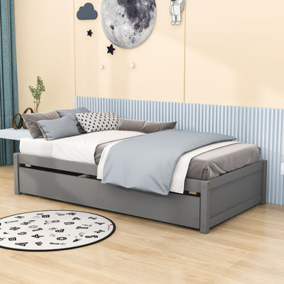 Casstown Twin Daybed with Two Drawers by Red Barrel Studio