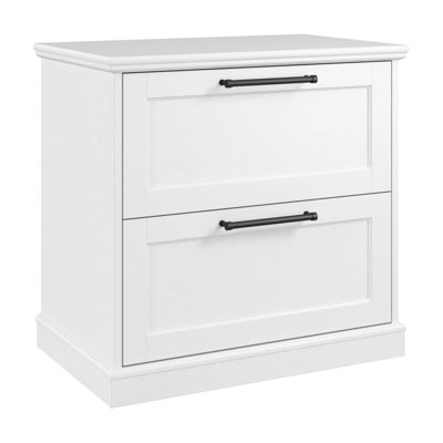 Arlynn 31.22" Wide 2 -Drawer File Cabinet by Inbox Zero