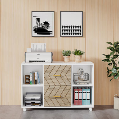 Algere 39.4 Wide 2 -Drawer File Cabinet by Latitude Run