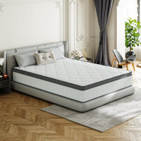 Fraida 10"/12"/14" Medium Cooling Gel Memory Foam Hybrid Mattresses with Certipur-US Certified Pocket Spring, Pressure Relief, and Motion Isolation by Alwyn Home