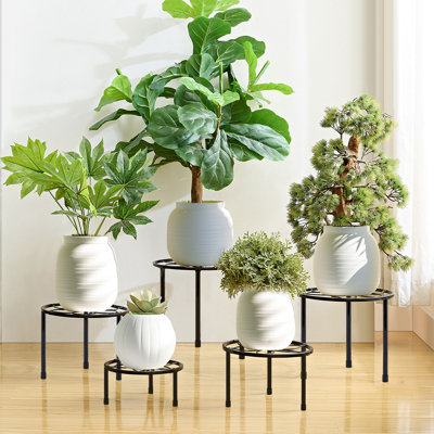 Mollye 5-Piece Metal Plant Stands for Indoor Outdoor Use, Heavy Duty Round Flower Pot Holders, Rust-Resistant Black Iron Plant Stand Set by Winston Porter