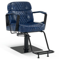 23.6" Wide Manual Swivel Ergonomic Barber Chair,Hydraulic Pump Manual Recliner by Inbox Zero