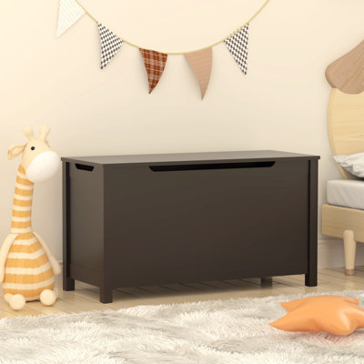Ennassim Ebern Designs Toy Box with Safety Hinged Lid