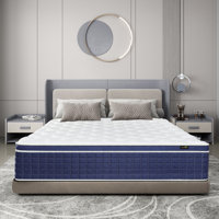 Bassford 12"/13"/14" Medium Memory Foam Hybrid Mattress by Alwyn Home