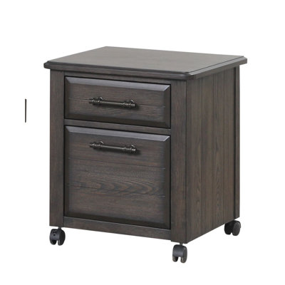 Nashya 2-Drawer Mobile Vertical Filing Cabinet by Winston Porter