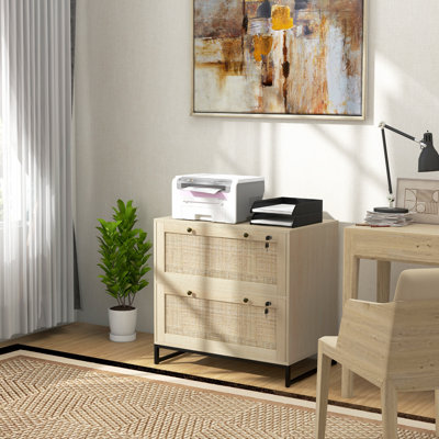 Amerigo 2-Drawer Lateral Filing Cabinet by Beachcrest Home