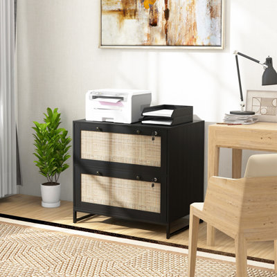 Amerigo 2-Drawer Lateral Filing Cabinet by Beachcrest Home