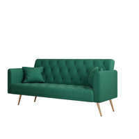Cathal Velvet Sleeper convertible love seat sofa, American retro velvet, suitable for small living room, bedroom by Mercer41
