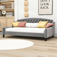 Haverland Twin Size Tufted Daybed by House of Hampton