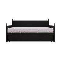 Nyagoa Solid Wood Twin Size Daybed with Twin Size Trundle by Winston Porter