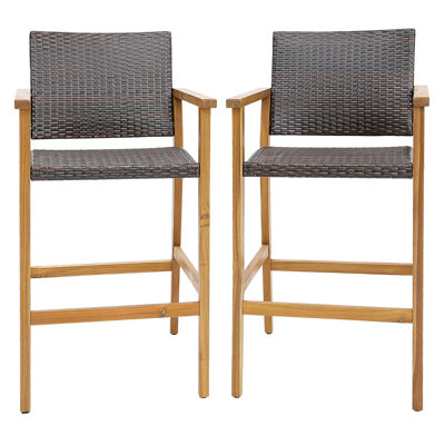 Earlton 29" Patio Bar Stool
