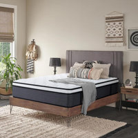 Aralene Medium Pocket Spring Hybrid Mattress by Alwyn Home