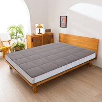 Antranigian 6" Thick Japanese Futon Mattress by Alwyn Home