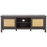 Alyosha 2 Door TV Stand by Bay Isle Home