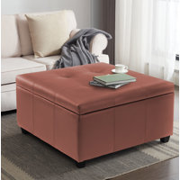 Amariyah Faux Leather Square Storage Ottoman by Ebern Designs