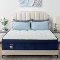 Medium Gel Memory Foam Hybrid Mattress in a Box, OEKO-TEXCertified by Alwyn Home