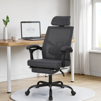 Yepez Ergonomic Swivel Mesh Task Office Chair With S-Shaped Backrest, Headrest And Footrest by Ebern Designs