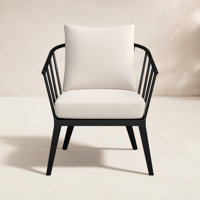 Serena Metal Outdoor Dining Armchair with Sunbrella Cushions by Birch Lane