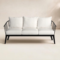 Serena Metal Outdoor Sofa with Sunbrella Cushions by Birch Lane