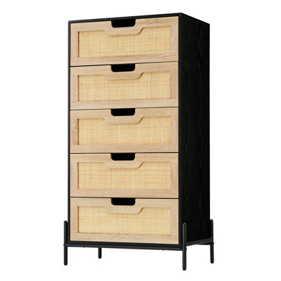 Analeah Iron Accent Chest by Bay Isle Home