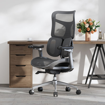 Ergonomic Office Chair with Independent Backrest by Sihoo