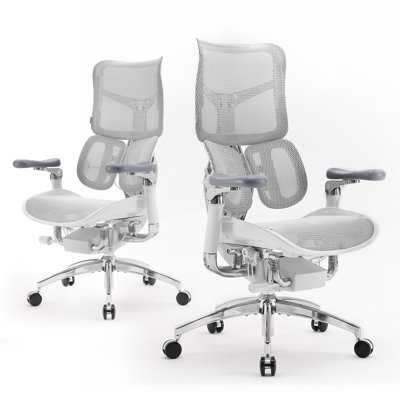 Ergonomic Office Chair - Dual-layer Dynamic Lumbar Support by Sihoo