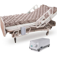Torzsok 3" Air Mattress for Bed Sore, Ulcer Prevention, Suit for  Hospital Bed by Alwyn Home