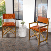 Tonora Folding Director Chair with Cushions by Foundry Select