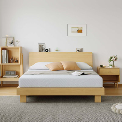 Rodrigue 12" Medium Gel Memory Foam Mattress Infused with Green Tea by Alwyn Home