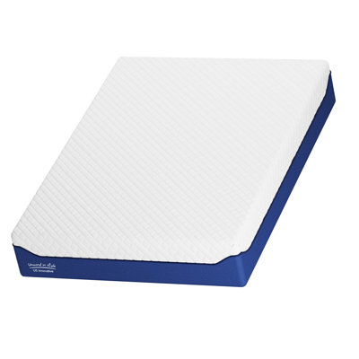 Alwyn Home Briese 14" Medium Gel Memory Foam Sofa Bed Mattress by Alwyn Home
