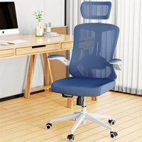Oladele Home Ergonomic Office Chair With Adjustable Headrest & Lumbar Support, Swivel High Back Computer Chair, Breathable Mesh Desk Chair, PU Silent by Inbox Zero