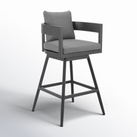 Evalyn Chalsie Metal Outdoor Stool with Cushion