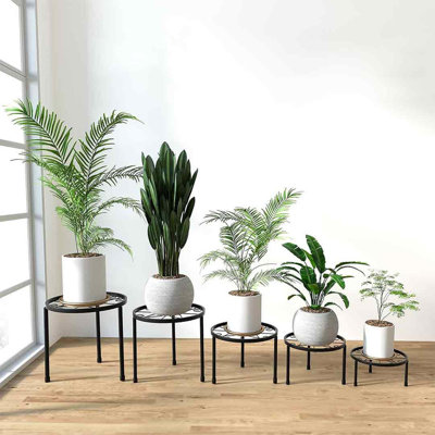 Reigan Plant Stand - Set of 5 by Winston Porter
