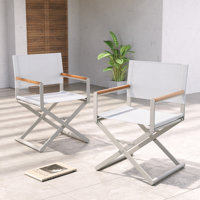 Siepie Folding Director Chair by Arlmont & Co.
