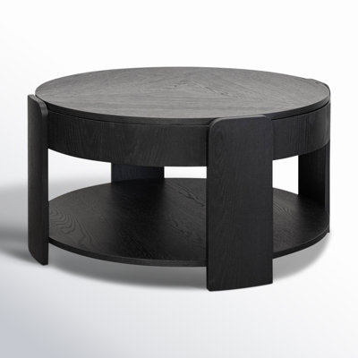 Iria Storage Coffee Table by AllModern
