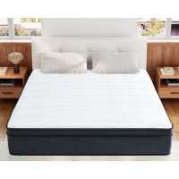 Goshen 12" Mattress by Alwyn Home
