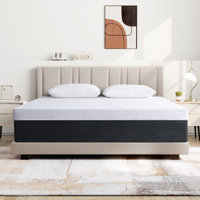 Alwyn Home Rilla 10" Medium-Firm Gel Memory Foam Mattress by Alwyn Home